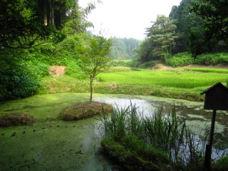 b0160957_14505622.jpg