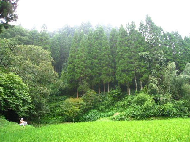 b0160957_14524567.jpg