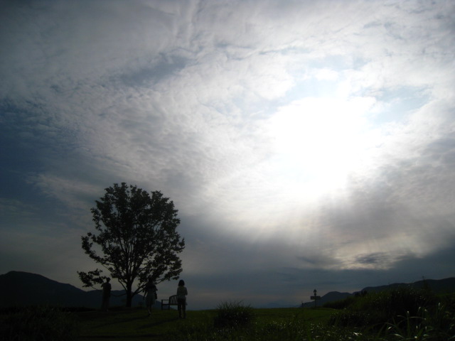 b0160957_15192454.jpg