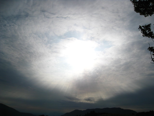 b0160957_15194585.jpg