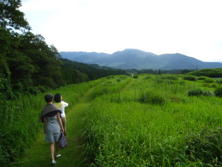 b0160957_152165.jpg