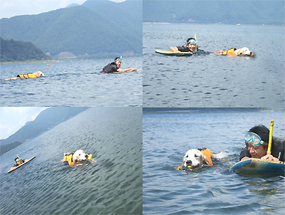 c0097558_11515447.jpg