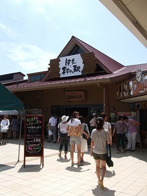 e0176158_233913100.jpg