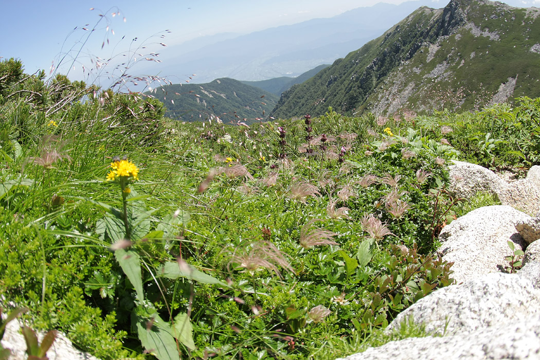 d0148060_2222521.jpg