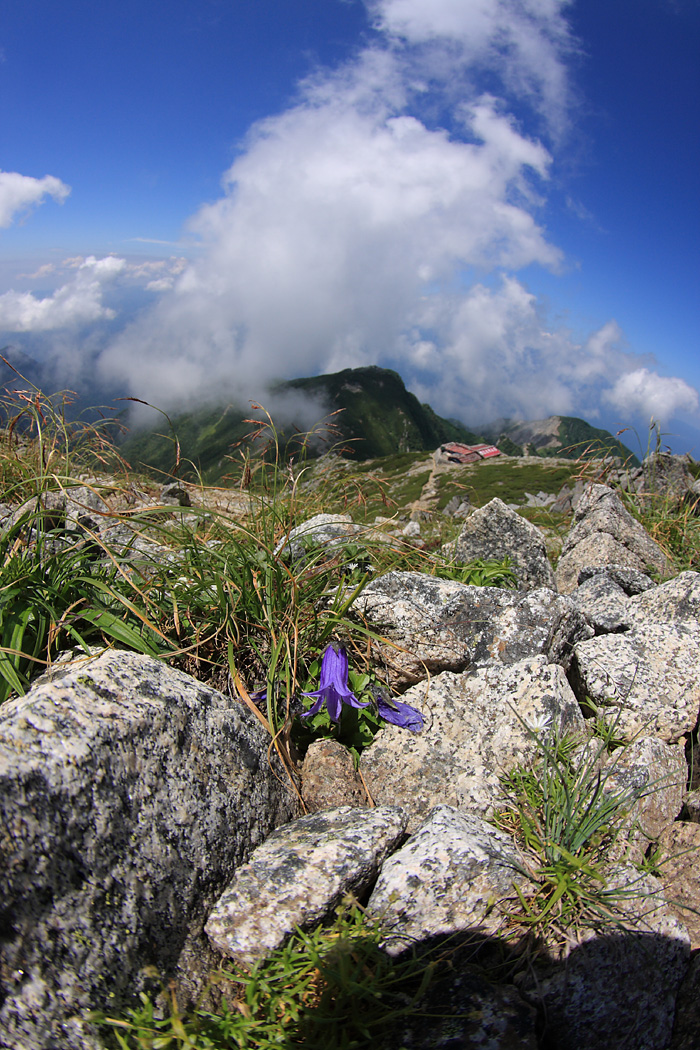 d0148060_2240526.jpg