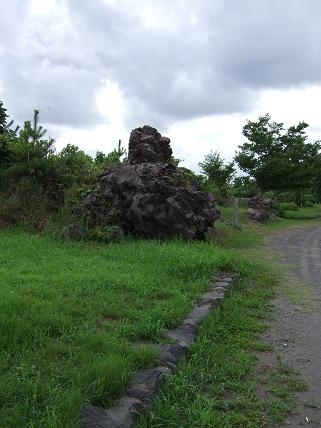 f0206161_22525629.jpg