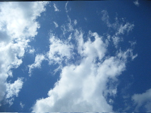 b0079965_6281931.jpg
