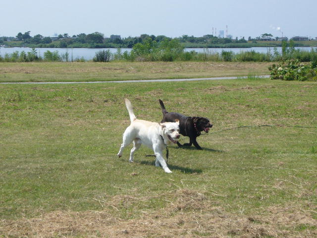 f0057565_16511717.jpg