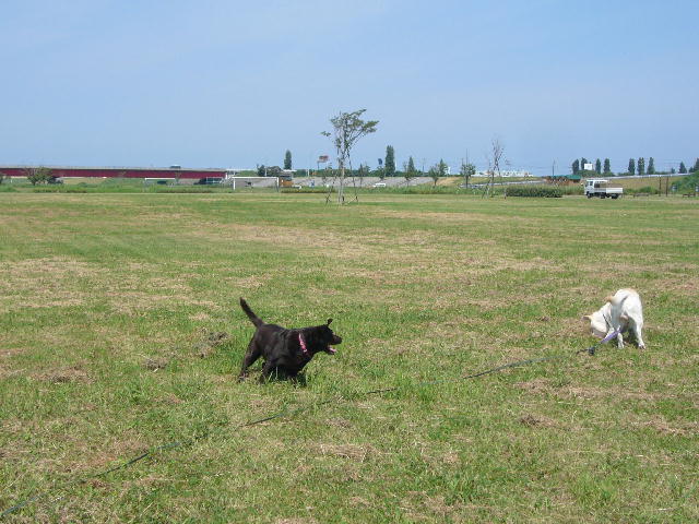 f0057565_16565025.jpg