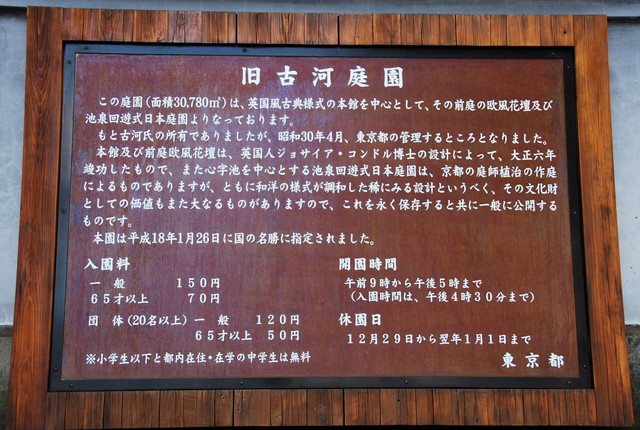 b0174068_23182018.jpg