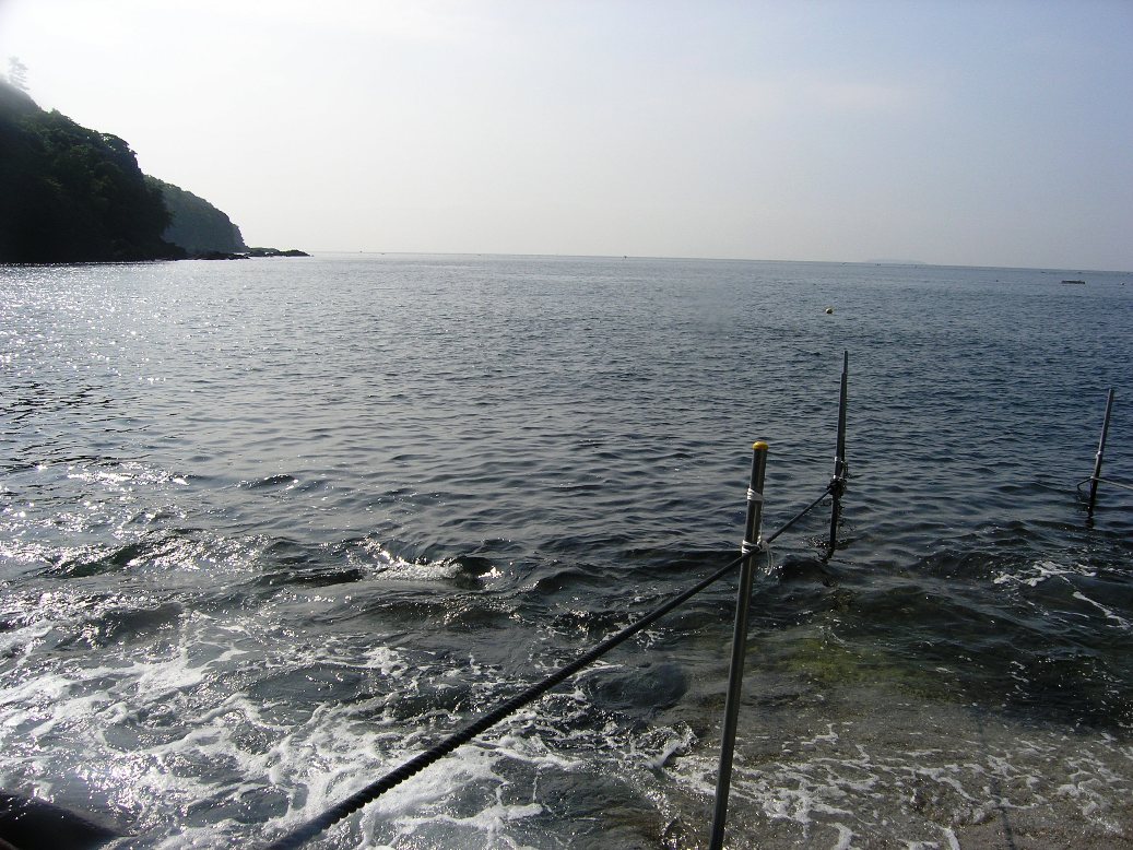 c0181073_21463258.jpg