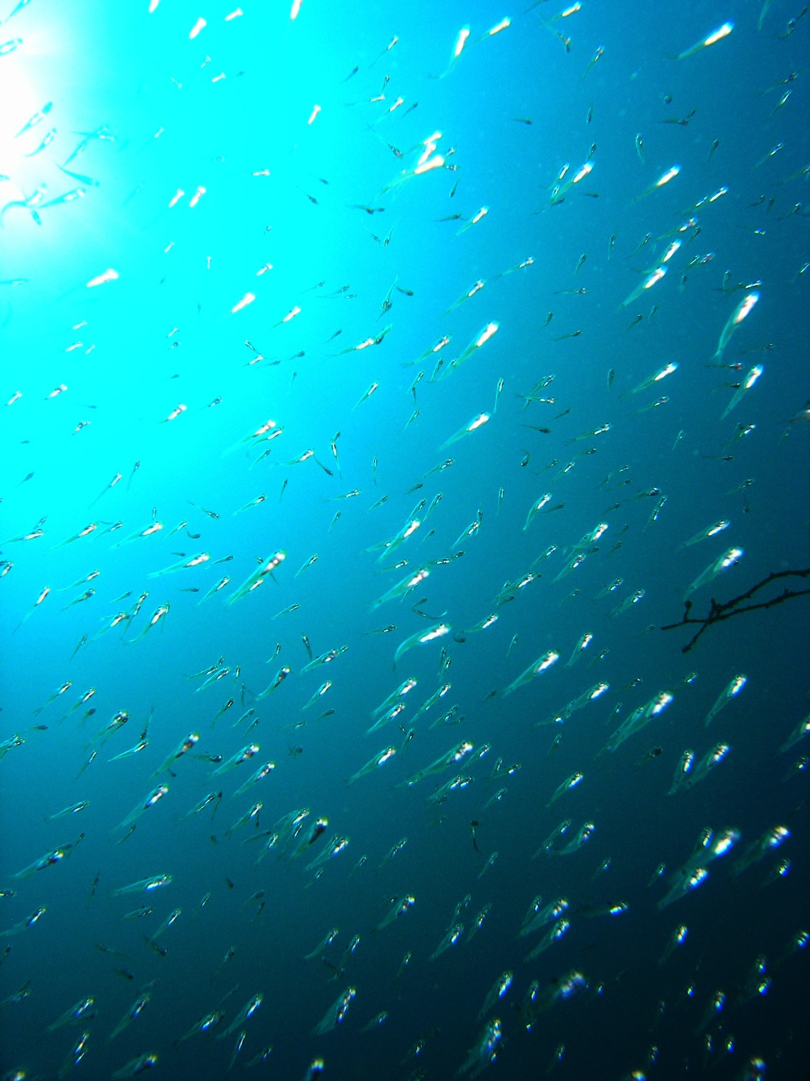 c0181073_21494092.jpg