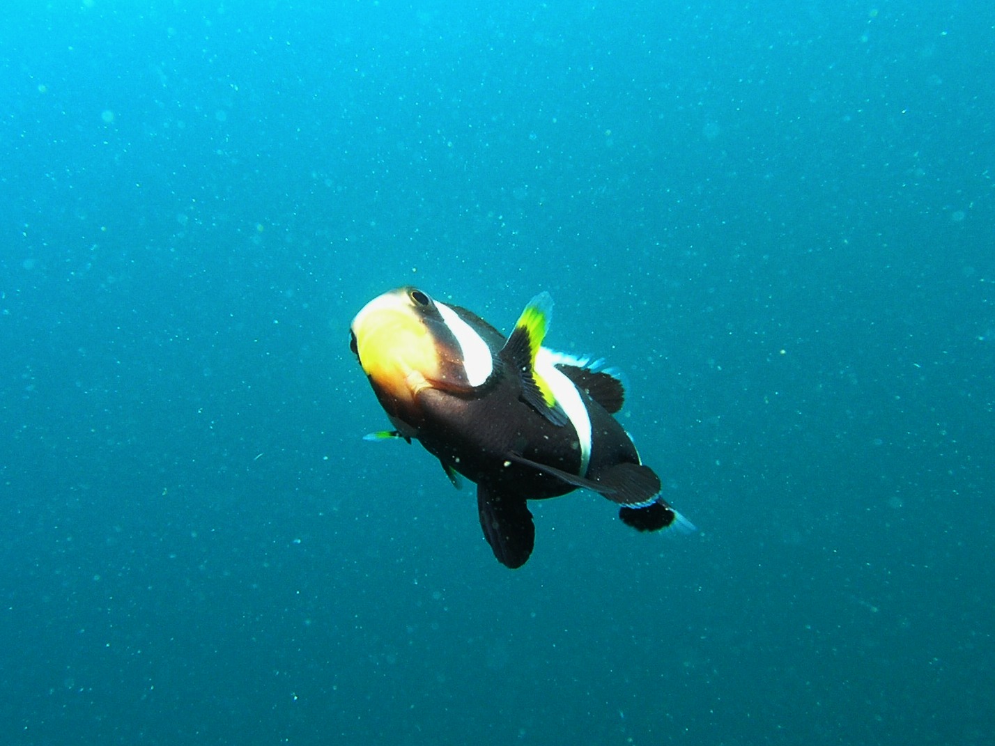 c0181073_2156564.jpg