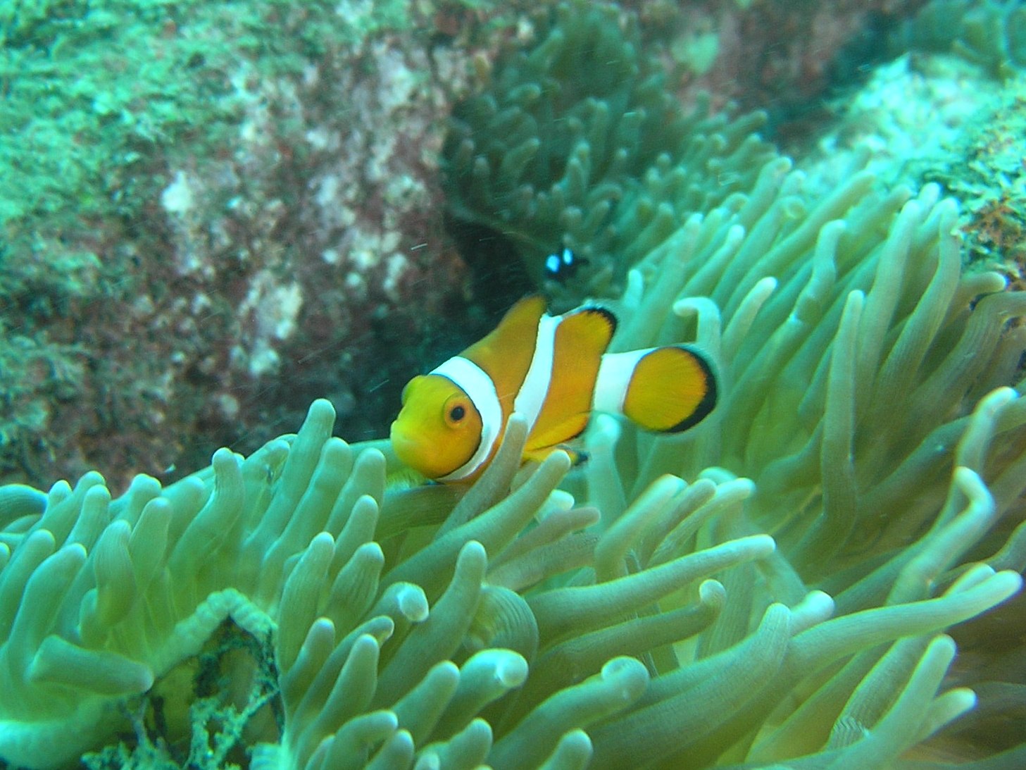 c0181073_2203265.jpg