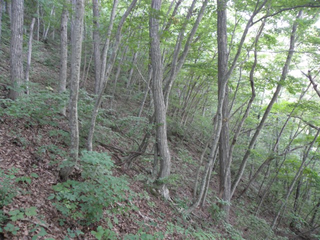 d0134473_16125338.jpg
