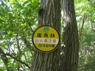 d0134473_1681418.jpg