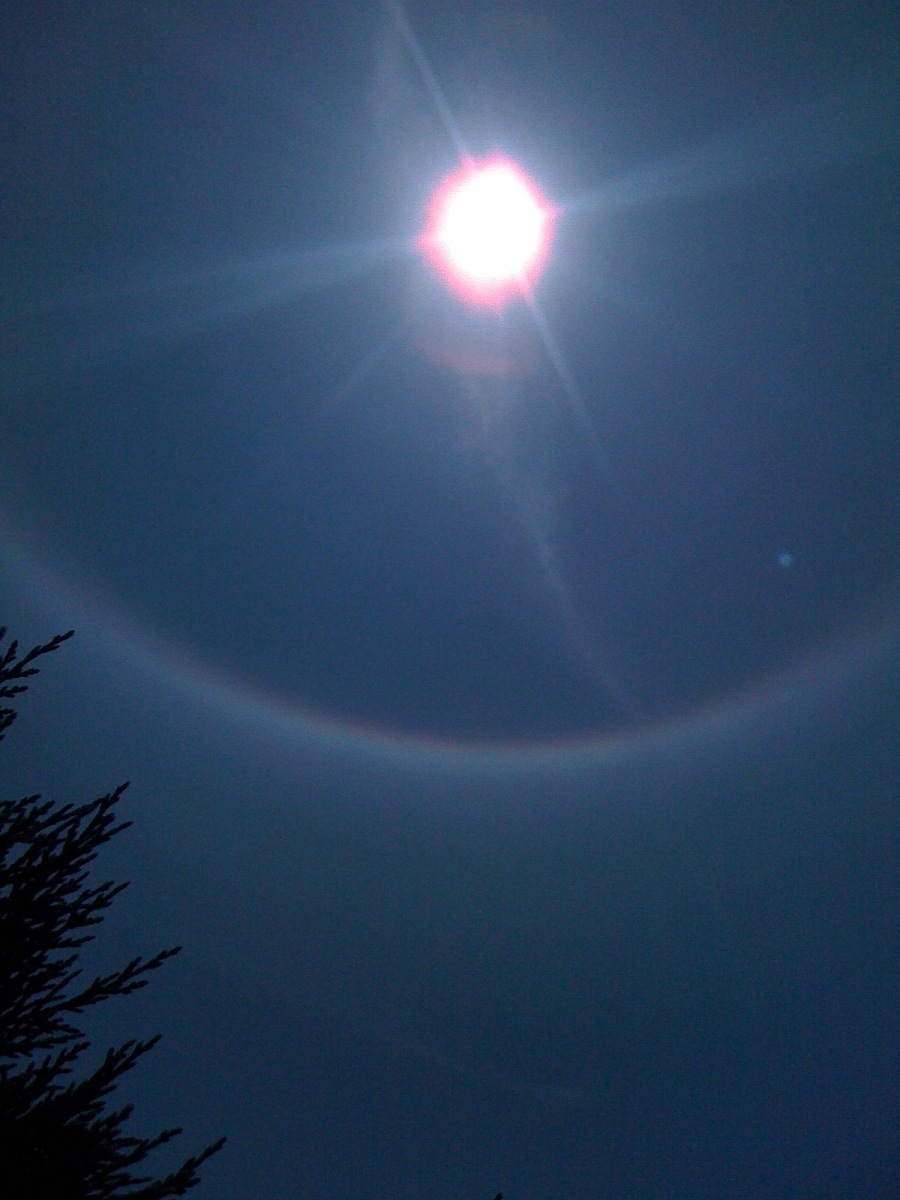 b0137175_16285365.jpg