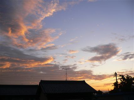 f0001378_22262796.jpg