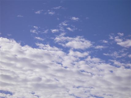 f0001378_22264292.jpg