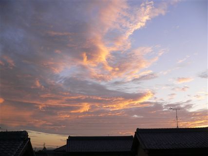 f0001378_22355576.jpg