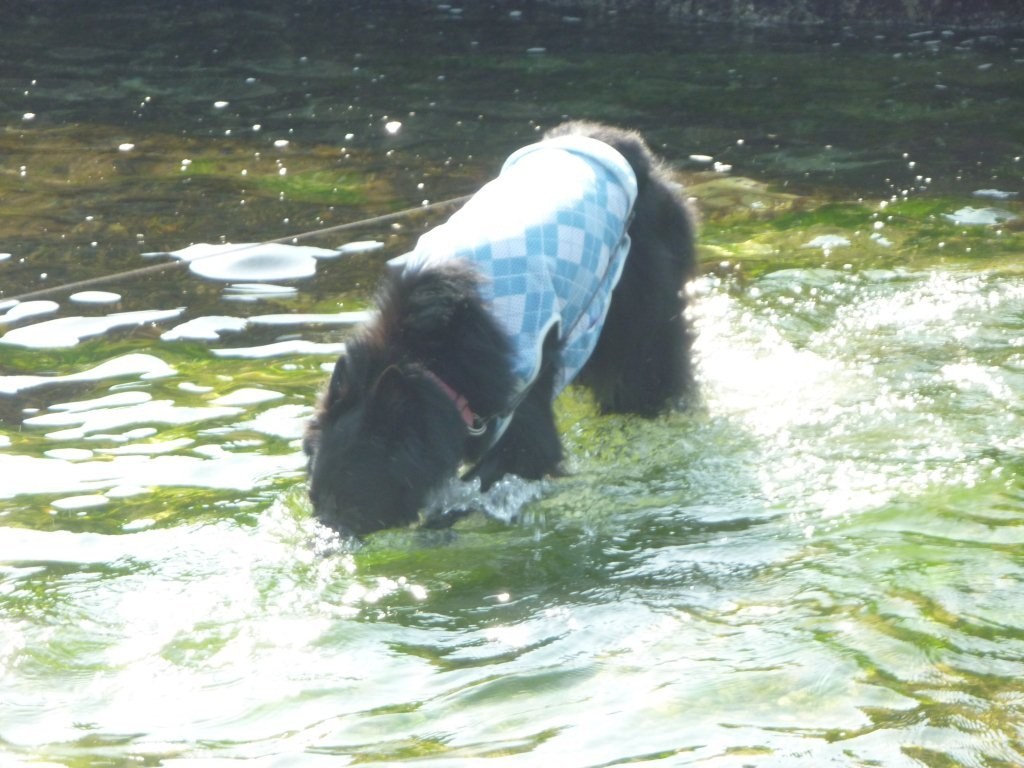 c0052779_23241073.jpg
