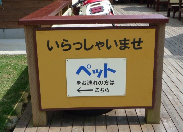c0052779_23352832.jpg