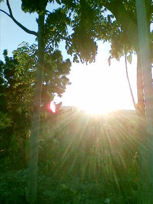 a0108380_82183.jpg
