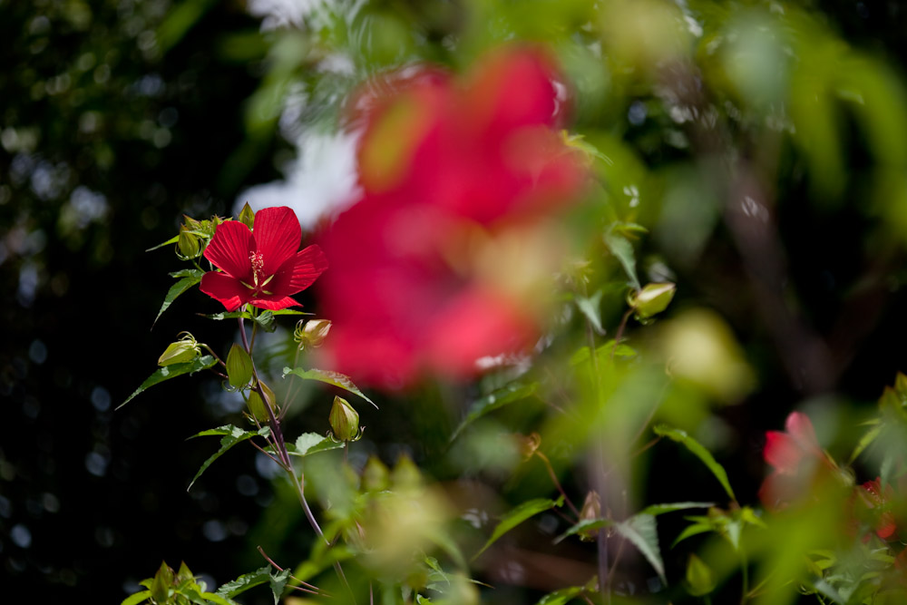 a0083081_16121339.jpg