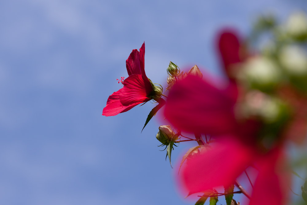 a0083081_16134723.jpg