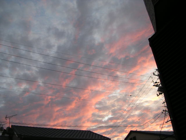 d0142182_74730100.jpg