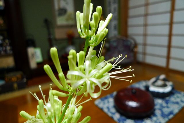 b0115085_23192875.jpg