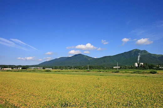 e0190885_19363593.jpg