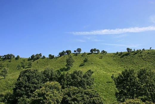 e0190885_1937253.jpg