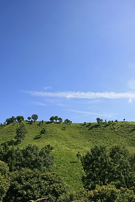 e0190885_19373358.jpg