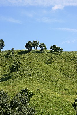 e0190885_19374149.jpg