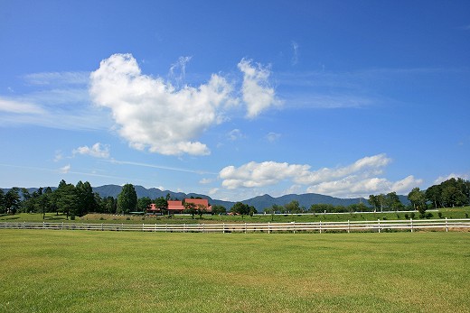 e0190885_19375670.jpg