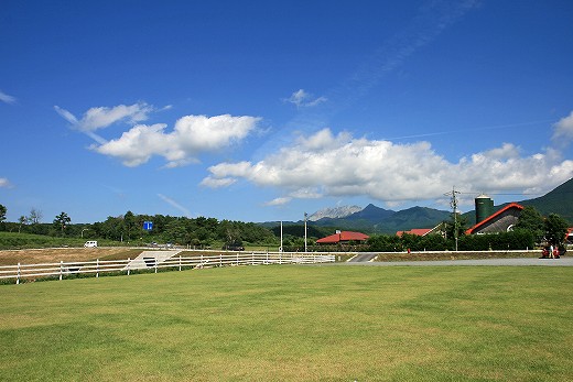e0190885_1938218.jpg