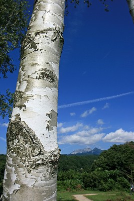 e0190885_19382754.jpg