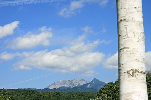 e0190885_1938452.jpg