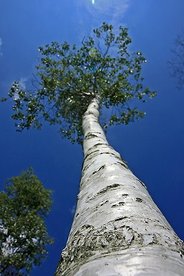 e0190885_1938586.jpg