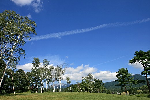 e0190885_193954.jpg