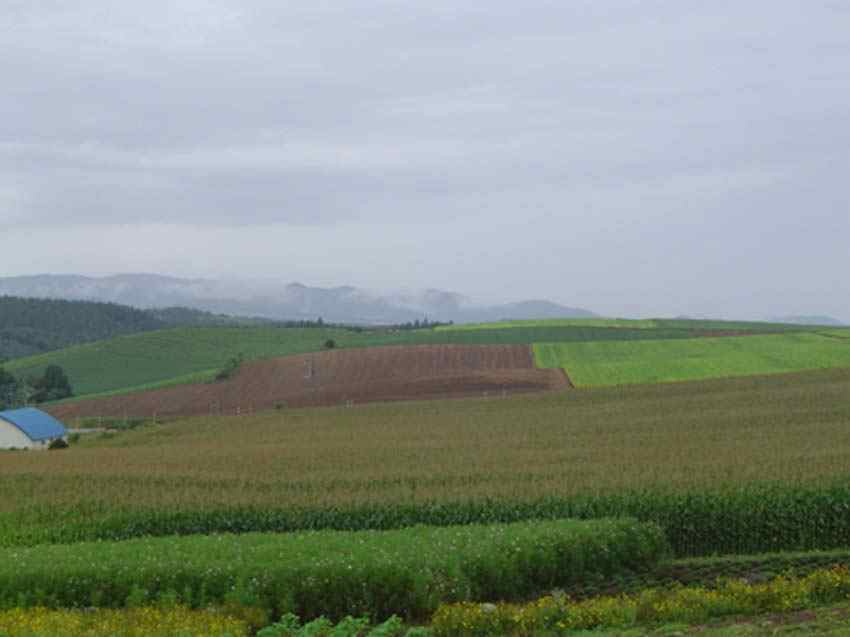 f0018388_231457.jpg