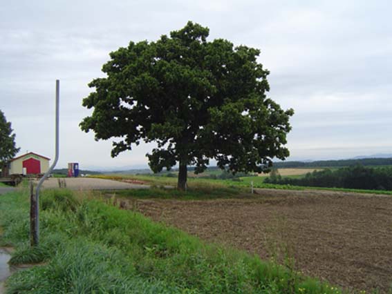 f0018388_2385615.jpg
