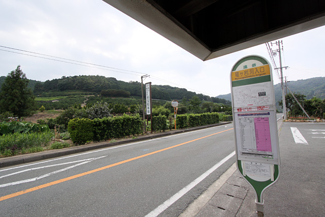 b0067789_19554030.jpg