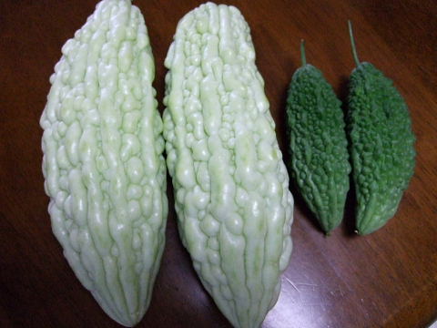 b0104592_9473469.jpg