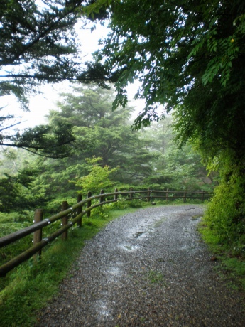 c0153292_1352100.jpg