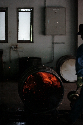 d0133693_21542539.jpg