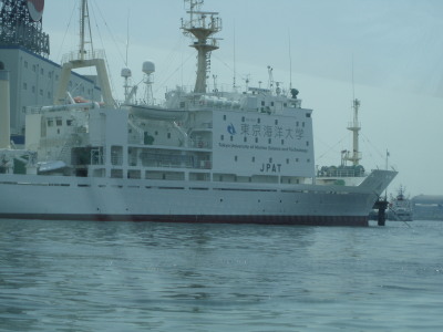 c0086895_17202077.jpg