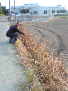 c0034396_116494.jpg