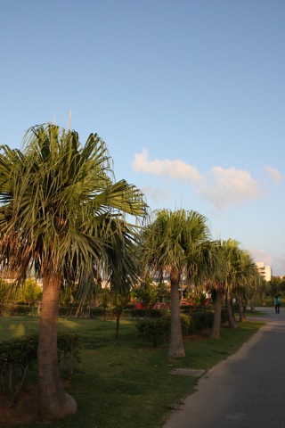c0193396_10213873.jpg